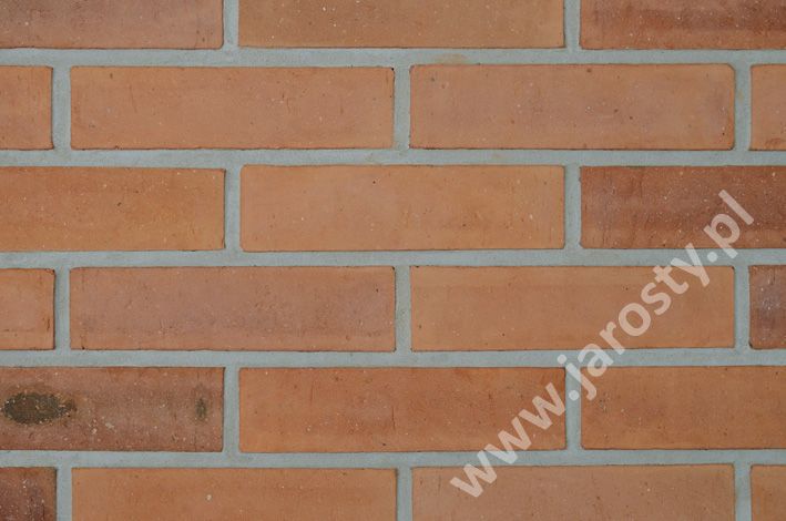 цегельний завод у Польщі груба кераміка облицювальна фасадна цегла вугільні пальники