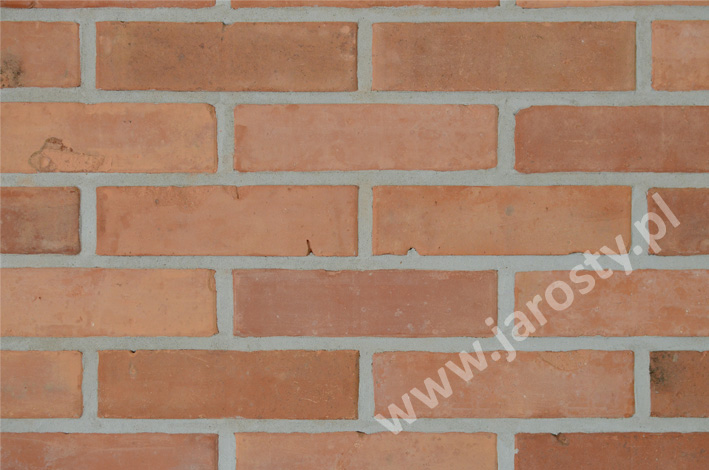 цегельний завод у Польщі груба кераміка облицювальна фасадна цегла вугільні пальники