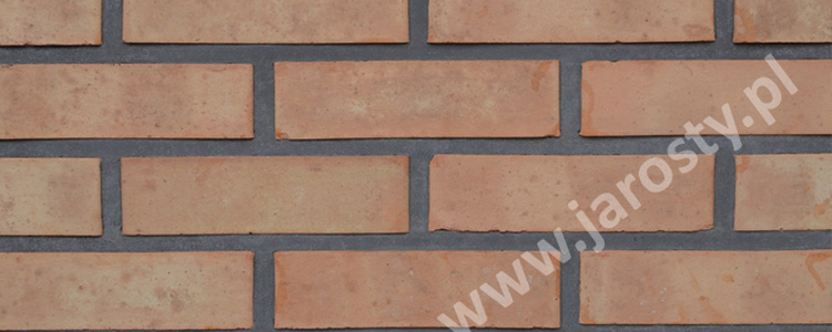 цегельний завод у Польщі груба кераміка облицювальна фасадна цегла вугільні пальники